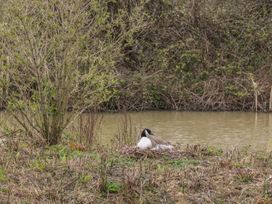 Peek A Boo - Devon - 1001836 - thumbnail photo 18