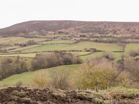 Orchard Cottage - North Yorkshire (incl. Whitby) - 1002416 - thumbnail photo 31