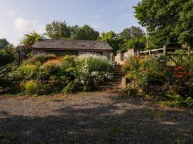 Black Cat Bach - South Wales - 1002911 - thumbnail photo 27