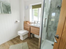 A bathroom with a toilet and shower at Bwthyn in Moelfre