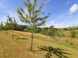 A row of trees along a grassy area at Pheasant Cottage in Priston Village, BATH