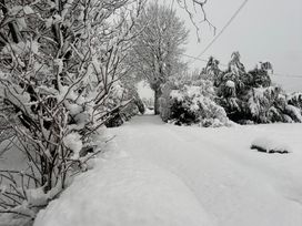 A snowy pathway with trees and bushes at Dairy Cottage Tavernspite near Narberth