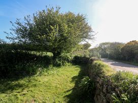 A tree beside a stone wall and a road at Kernyk in Penzance