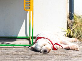 Blue Bay Beach House - Cornwall - 1007604 - thumbnail photo 6