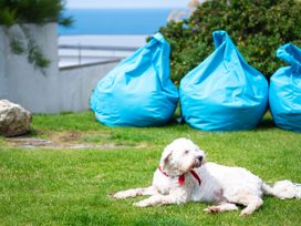 Blue Bay Beach House - Cornwall - 1007604 - thumbnail photo 76