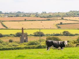 The Old Cows House - Cornwall - 1008677 - thumbnail photo 20