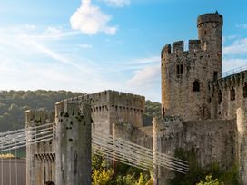 A castle with towers and a bridge at Coed y Felin in Conwy