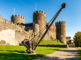 A castle with a catapult in the foreground at Coed y Felin in Conwy