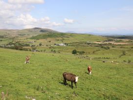 Pen y Groes - North Wales - 1008969 - thumbnail photo 22
