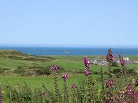 West Mouse View - Anglesey - 1009114 - thumbnail photo 22