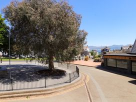 A street view with a large tree in a fenced area and buildings in the background at Y Stabl in Criccieth