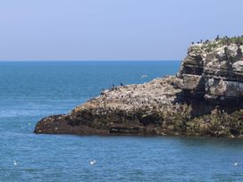A rock formation with seabirds along the coast at an unspecified location
