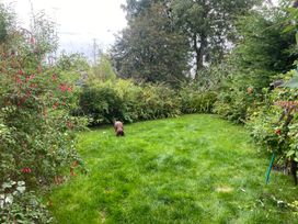 A garden with a dog on grass at Gowanlea Bellingham