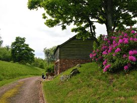 Kidcleugh Hide - Scottish Lowlands - 1011142 - thumbnail photo 10