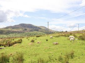 Craig Yr Ronwy - North Wales - 1013727 - thumbnail photo 40