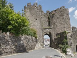 Llys Madoc, First Floor Flat - North Wales - 1014017 - thumbnail photo 19