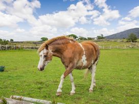 Marchlyn - North Wales - 1014116 - thumbnail photo 28