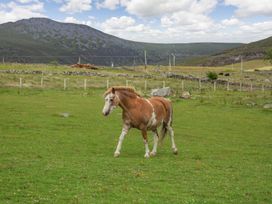 Ffynnon Bach - North Wales - 1014134 - thumbnail photo 42