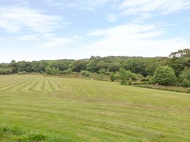 Holly Cottage - Devon - 1014725 - thumbnail photo 22