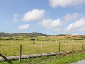 Craig Y Deryn - North Wales - 1014726 - thumbnail photo 20