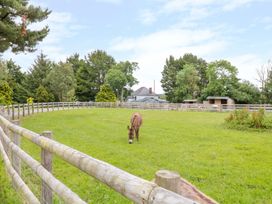 Shannon - Devon - 1014733 - thumbnail photo 14