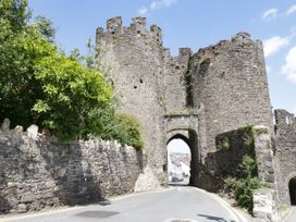 Llys Madoc, Basement Apartment - North Wales - 1014915 - thumbnail photo 23