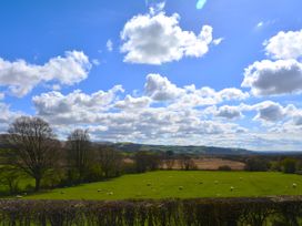 Gwynant - Mid Wales - 1017784 - thumbnail photo 29