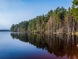 Otter Lodge - Scottish Highlands - 1018174 - thumbnail photo 31