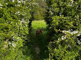 A dog walking on a path between hedges at Keepers Cottage in West Knoyle