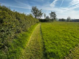 A path bordered by hedges and trees in a field at Keepers Cottage in West Knoyle