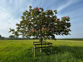 A tree with pink flowers in a field at Keepers Cottage in West Knoyle
