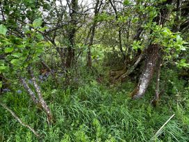 A garden area with trees and flowers at Keepers Cottage in West Knoyle