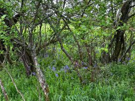 A view of trees and wildflowers in a field at Keepers Cottage in West Knoyle