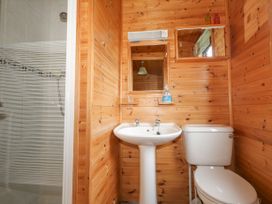 16 Amber Wood Lodge - Hampshire - 1021624 - thumbnail photo 17