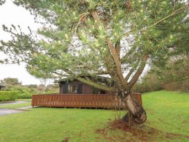 16 Amber Wood Lodge - Hampshire - 1021624 - thumbnail photo 25