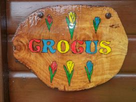 Crocus Lodge - Cornwall - 1022321 - thumbnail photo 3
