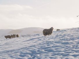 Bwythn Penfro - Yorkshire Dales - 1022435 - thumbnail photo 19