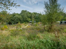 A garden with flowers, grass, and pathways at Onnen, Oakford near Aberaeron