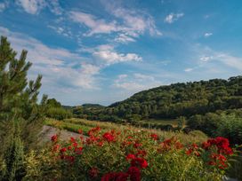 May Blossom Barn - Devon - 1024548 - thumbnail photo 22