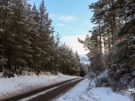 A road lined with trees and snow at Golden Eagle Lodge in Aviemore