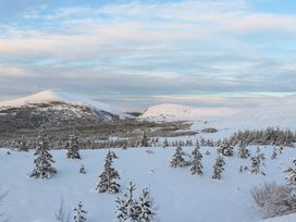 A snowy landscape with trees and mountains at Red Deer Lodge in Feshiebridge near Aviemore
