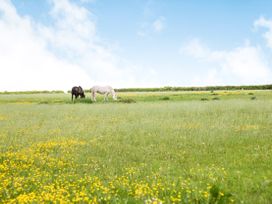 Newfield Farm Cottages - Dorset - 1025183 - thumbnail photo 93