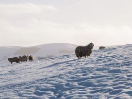 Lock View - Yorkshire Dales - 1025298 - thumbnail photo 25
