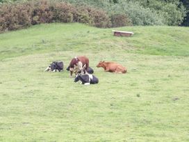 Yr Hen Dy - North Wales - 1025541 - thumbnail photo 36