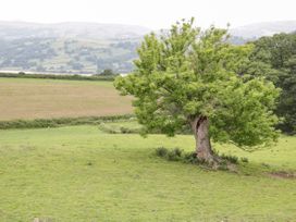 Yr Hen Dy - North Wales - 1025541 - thumbnail photo 37