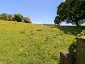 1 Barn Cottages - Yorkshire Dales - 1027270 - thumbnail photo 21