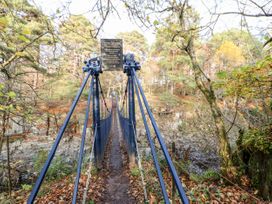 Badgers Sett - Yorkshire Dales - 1027477 - thumbnail photo 49