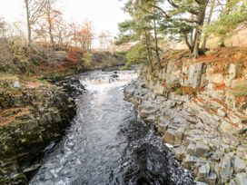 Badgers Sett - Yorkshire Dales - 1027477 - thumbnail photo 50