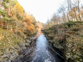 Badgers Sett - Yorkshire Dales - 1027477 - thumbnail photo 51