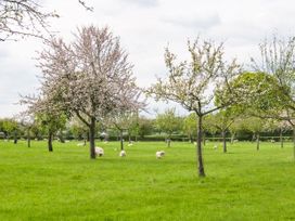 Top Style Orchard - Cotswolds - 1027511 - thumbnail photo 17